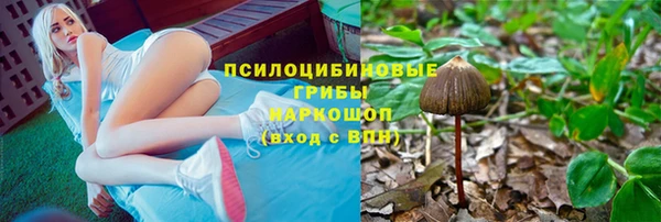 МДПВ Аркадак